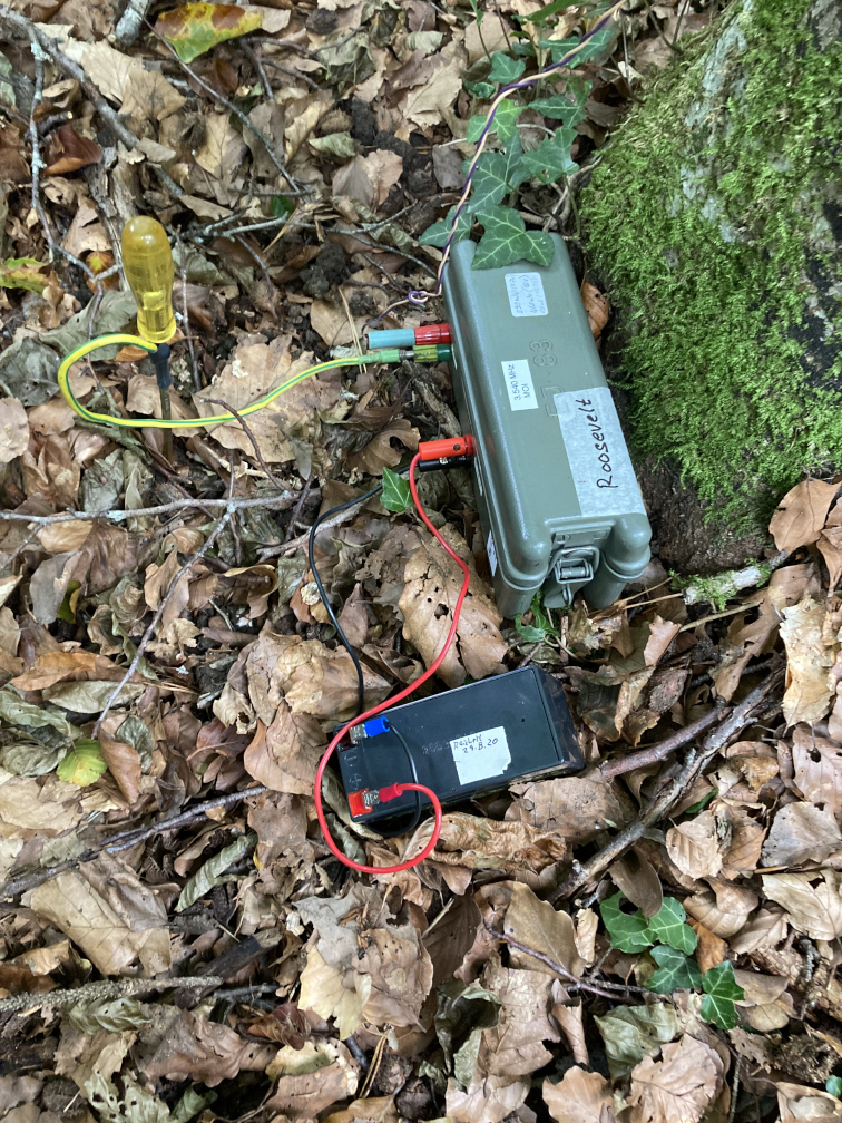 Familienfuchsjagd am 12.09.2021 (Bild 18 von 20) Familienfuchsjagd am 12.09.2021 (Bild 18 von 20)