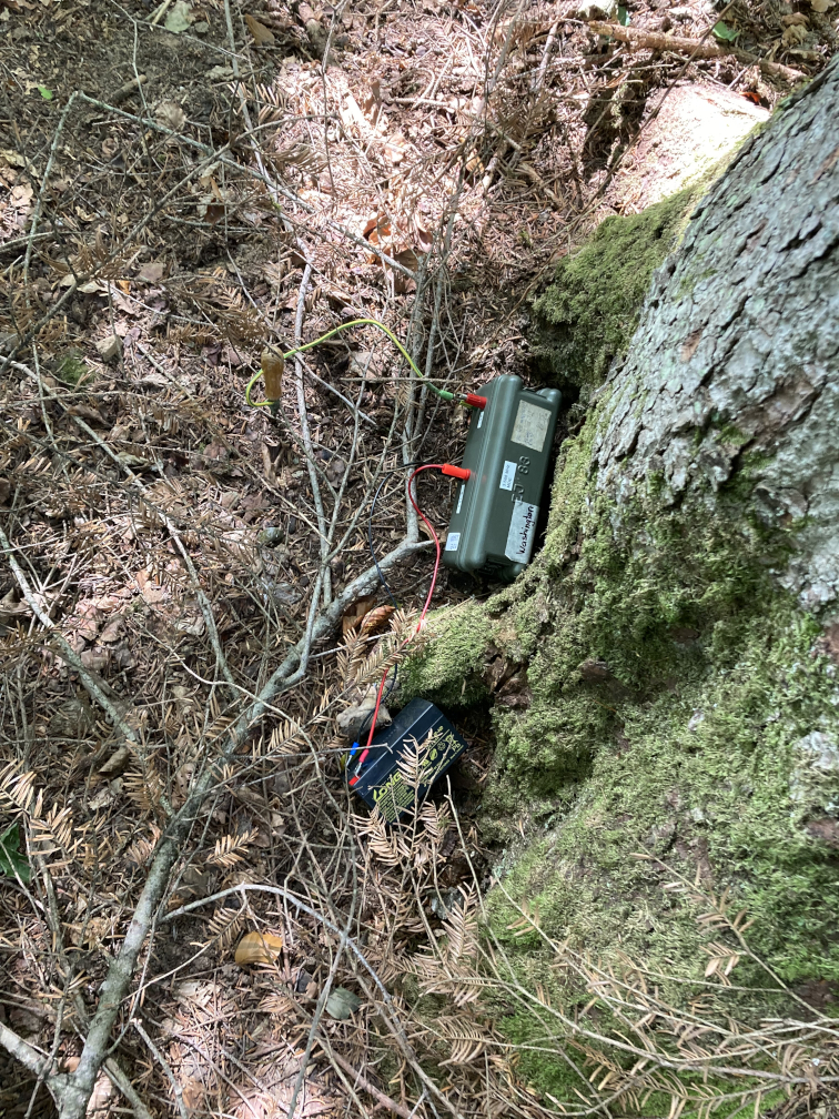 Familienfuchsjagd am 12.09.2021 (Bild 19 von 20) Familienfuchsjagd am 12.09.2021 (Bild 19 von 20)