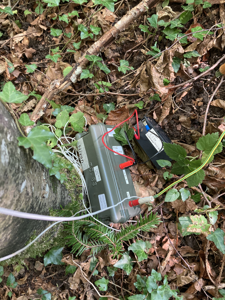 Familienfuchsjagd am 12.09.2021 (Bild 20 von 20) Familienfuchsjagd am 12.09.2021 (Bild 20 von 20)