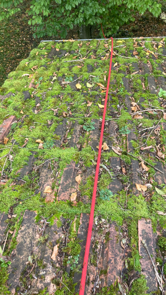 ... so viel Moos ist inzwischen auf dem Dach ... so viel Moos ist inzwischen auf dem Dach