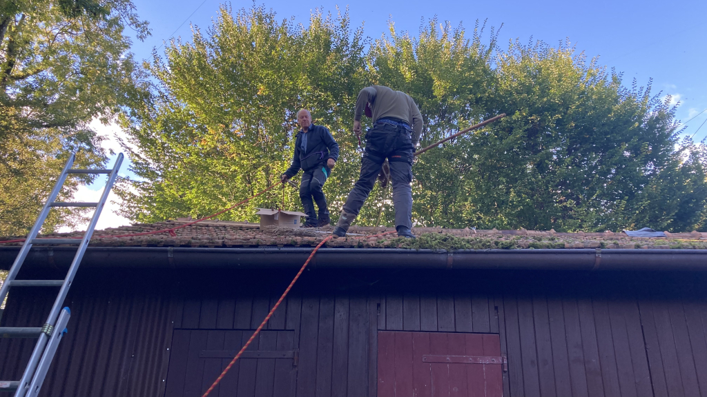 kurz vor Feierabend kurz vor Feierabend